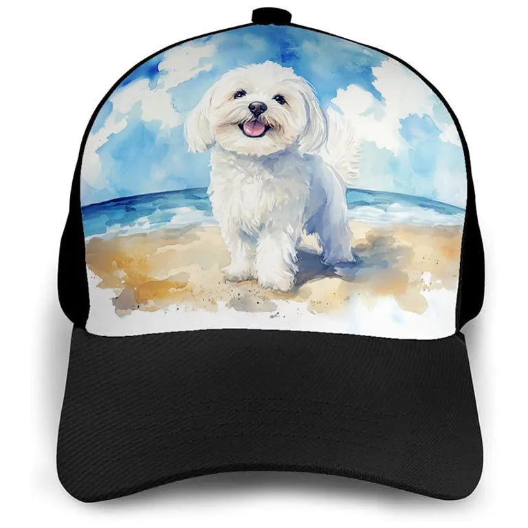 Casquette de baseball pour animaux de compagnie
